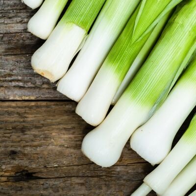 Лук