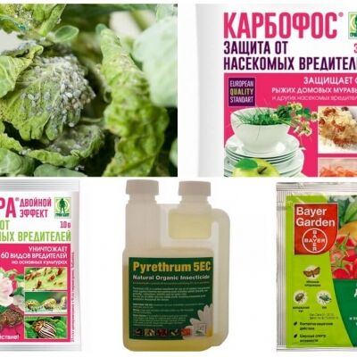 Инсектициды химические