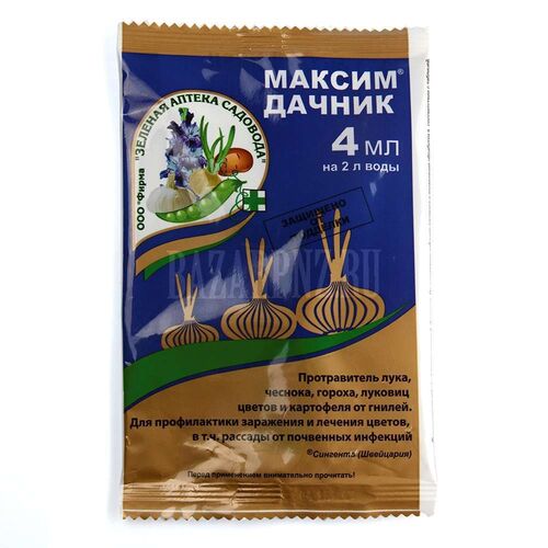 Максим Дачник (амп.4мл)